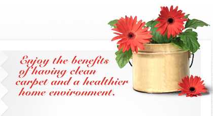 temeculacarpetcleaning.com