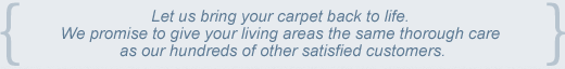 area rugs and oriental rug cleaning